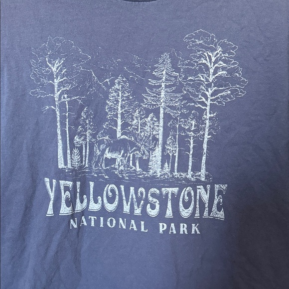 Tilly's Dusty Blue Yellowstone Graphic Tee - Picture 2 of 2